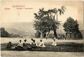 1907 Budapest XII. Istenhegy, Normafa, kirándulók piknik közben
