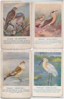 Kb. 57 db RÉGI motívum képeslap vegyes minőségben: madarak / Cca. 57 pre-1945 motive postcards in mixed quality: birds