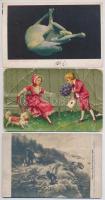 19 db RÉGI motívum képeslap vegyes minőségben: kutya / 19 pre-1945 motive postcards in mixed quality: dogs