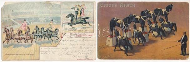 11 db RÉGI motívum képeslap vegyes minőségben: ló / 11 pre-1945 motive postcards in mixed quality: horse