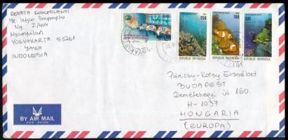 Indonesia 1998, Indonézia 1998