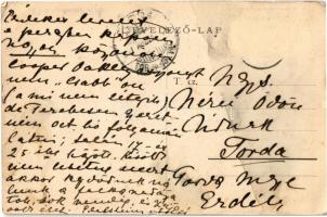 1907 Tiszadob, Gróf Andrássy Gyula kastélya (EK)