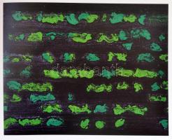 Makláry Kálmán (szerk.): Reigl Judit. Művek 1974-1988. Bp., 2009, Makláry Artworks Kft. Kiadói papír...