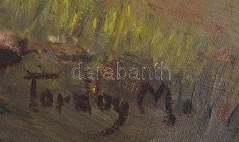 Torday M jelzéssel: Falusi tájkép. Olaj, vászon, díszes fa keretben, 40x50 cm