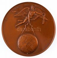 Franciaország 1840. "Egységes mértékrendszer" Br emlékérem, peremen "BRONZE" beü...