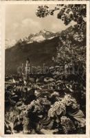 1935 Merano, Meran (Südtirol); general view, church. Edit. e fotogr. L. Fränzl