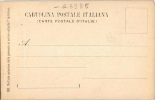 Firenze, R. Giardino di Boboli, Viale dei cipressi e ingresso alla vasca dell'Isolotto. / garde...