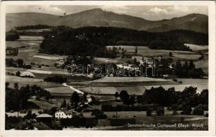 Gotteszell, Somerfrische (Bayr. Wald) / holiday resort, general view