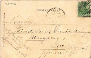 1905 Bacharach, Wernerkapelle / general view, church. Carl v. d. Boogaart No. 8023. Chromo-Lichtdruc...