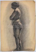 Czigány jelzéssel: Női akt. Szén, papír, szakadásokkal és foltokkal a lap szélén, 61x43 cm