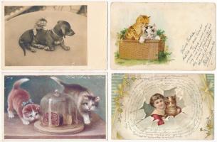 8 db RÉGI motívum képeslap vegyes minőségben: kutya / 8 pre-1945 motive postcards in mixed quality: dogs