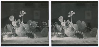 cca 1941 Kinszki Imre (1901-1945) budapesti fotóművész hagyatékából, 2 db SZTEREO, vintage fotó, csak J(obb) és B(al) betűvel jelölve (Csendélet kompozíció), sztereonézővel ellenőrizve, működik a térbeli látvány, a Kinszki hagyatékon belül is ritka lelet, 4,5x4,5 cm