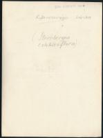 cca 1934 Kinszki Imre (1901-1945) budapesti fotóművész hagyatékából, pecséttel jelzett és a szerző á...