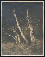 1930 Kinszki Imre (1901-1945) budapesti fotóművész hagyatékából, a szerző által feliratozott  vintage fotó (Budapest, Stefánia út, tükröződés), 8x6,2 cm