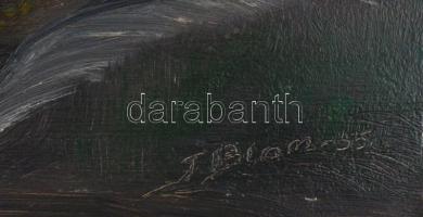 J Blom 55 jelzéssel: Vízparti táj. Olaj, karton, 38x50 cm