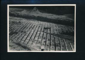 cca 1934 Kinszki Imre (1901-1945) budapesti fotóművész hagyatékából, jelzés nélküli vintage fotó (tél vége felé az utca kövezete ellenfényben), 11,8x17 cm