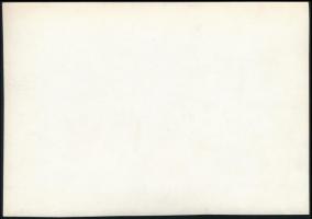 cca 1934 Kinszki Imre (1901-1945) budapesti fotóművész hagyatékából, jelzés nélküli vintage fotó (té...