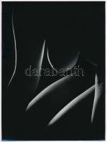 cca 1979 Juhos Nándor: Kókusz, feliratozott, vintage fotóművészeti alkotás, egy nagyobb világos folt retussal kifedve, 24x18 cm