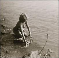 Több fotómodell közreműködésével, különböző időpontokban és eltérő helyszíneken készült akt felvétel...