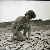 Több fotómodell közreműködésével, különböző időpontokban és eltérő helyszíneken készült akt felvétel...