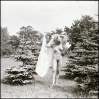 Több fotómodell közreműködésével, különböző időpontokban és eltérő helyszíneken készült akt felvétel...