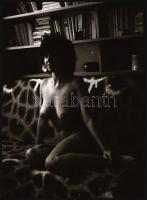 cca 1975 Két portré után, két aktfelvétel, szolidan erotikus felvételek, 4 db vintage NEGATÍV, 36x24...