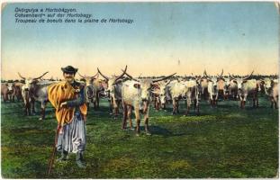 Hortobágy, ökörgulya, magyar folklór (ragasztónyom / glue mark)