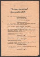 cca 1945 Nemzeti Segély röplap, A magyar jövőt jelenti a gyermek. Megmentő őket a Nemzeti Segély, 30x21 cm
