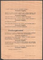 cca 1945 Nemzeti Segély röplap, "A magyar jövőt jelenti a gyermek. Megmentő őket a Nemzeti Segé...