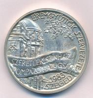 Tóth Sándor (1933-) 1983. "Juhász Gyula 1883-1937 / Éremgyűjtők Szervezete, Szeged 1983" j...