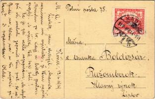 1919 Kassa, Kosice; Széchenyi ligeti korcsolya pavilon / skate hall, skating