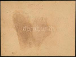 1923 Budapest, M. kir. Állami Felső Ipariskola Gépészeti szakán végzett diákok és tanáraik, kistabló...