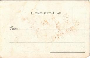 Csata a piski hídnál. Divald 14. sz. / Hungarian Revolution of 1848, battle at the bridge of Simeria...