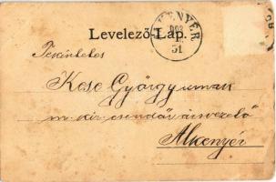 1903 Piski, Simeria; Bem szobor. Főző József kiadása / statue, monument (EB)