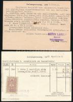 cca 1941-44 Szűcs László erdészeti csemete telepei, gyümölcs, rózsa, díszcserje faiskolája és magker...