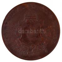 Beck Ötvös Fülöp (1873-1945) 1896. "KÖZREMŰKÖDŐK ÉRME / 1896-iki EZREDÉVES ORSZÁGOS KIÁLLÍTÁS&q...