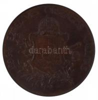 Beck Ötvös Fülöp (1873-1945) 1896. "KÖZREMŰKÖDŐK ÉRME / 1896-iki EZREDÉVES ORSZÁGOS KIÁLLÍTÁS&q...