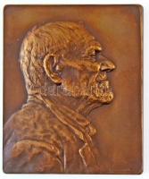 Ausztria ~1900. Idős férfi Br plakett. Szign.: Jos. Prinz (54x65mm) T:1- Austria ~1900. Old men Br plaque. Sign: Jos. Prinz (54x65mm) C:AU