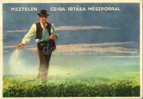 Meztelen csiga irtása mészporral / Hungarian agricultural propaganda, slug extermination with lime powder (EK)