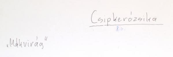 cca 1991 Menesdorfer Lajos (1941-2005) budapesti fotóművész hagyatékából, jelzés nélküli, vintage fo...