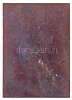 Beck Ötvös Fülöp (1873-1945) 1907. "Tisza István gróf" egyoldalas Br plakett (128,34g/76x5...