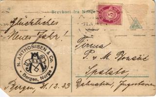 1923 Bergen, Utsigt fra Laxevaag (Laksevag), Norwegian battleships (EM)