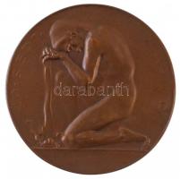 Ausztria 1910. "IOSEF KAINZ / 20. SEPT. 1910" Br emlékérem. Szign.: Hofner (60mm) T:1-,2
...