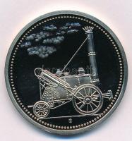 Németország DN "Az északkeleti Toess" Cu-Ni emlékérem T:PP
Germany ND "TOESS DER NOR...