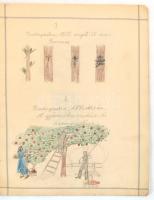 cca 1900-1936 2 db Turul rajztömb, széteső állapotban, egyiknek csak a fedele van meg. 2 db üres raj...