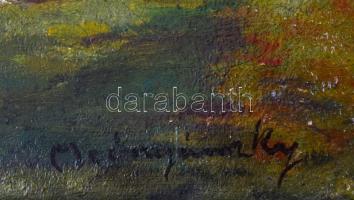 Mednyánszky jelzéssel: Falurészlet. Olaj, vászon, sérült. Fa keretben. 36x60 cm