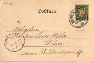 1897 (Vorläufer!) Bad Reichenhall, general view (EK)