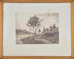 Gross Arnold (1929-2015): Bodrogpart. Rézkarc, papír, jelzett, üvegezett fa keretben, 23×30,5 cm