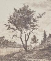 Gross Arnold (1929-2015): Bodrogpart. Rézkarc, papír, jelzett, üvegezett fa keretben, 23×30,5 cm