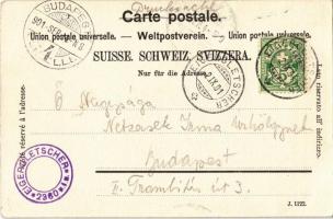 1901 Jungfrau, Kleine Scheidegg und die Jungfrau / mountains, tourist hotel. Artist. Atelier H. Gugg...